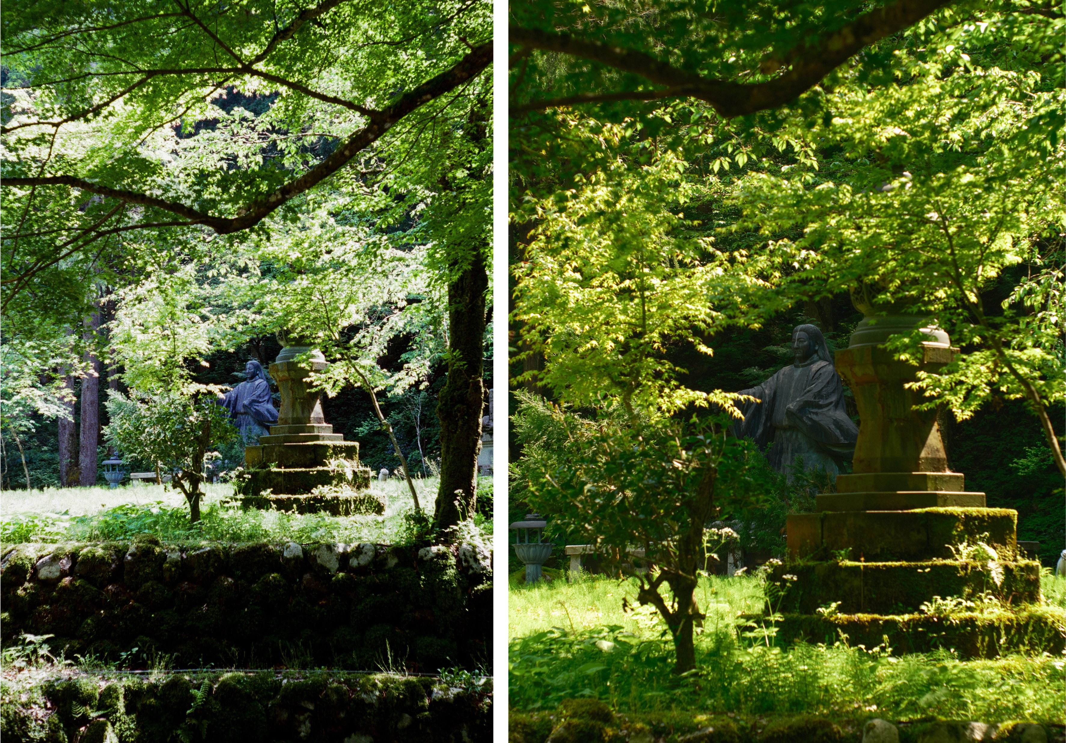 The film image on the left looks bright and washed out because of how it was scanned and corrected by the lab. The image on the right is from my digital setup, and it is closer to what I intended when taking the shot.
